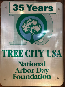 Look Behind the Stairs In Scarsdale Village Hall. We Are A Tree City!